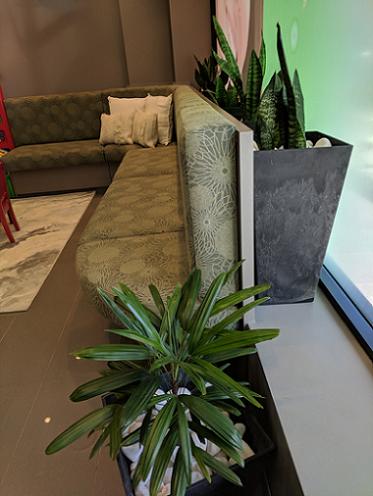 dentists glebe 8 Sydney Dental surgery patient's waiting area. Dental practice virtual tour