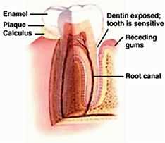 dentists, glebe, sydney, dental care, dentist, dental centre, dental, cosmetic dentist, cosmetic dentistry, Dental Care - Glebe, Sydney